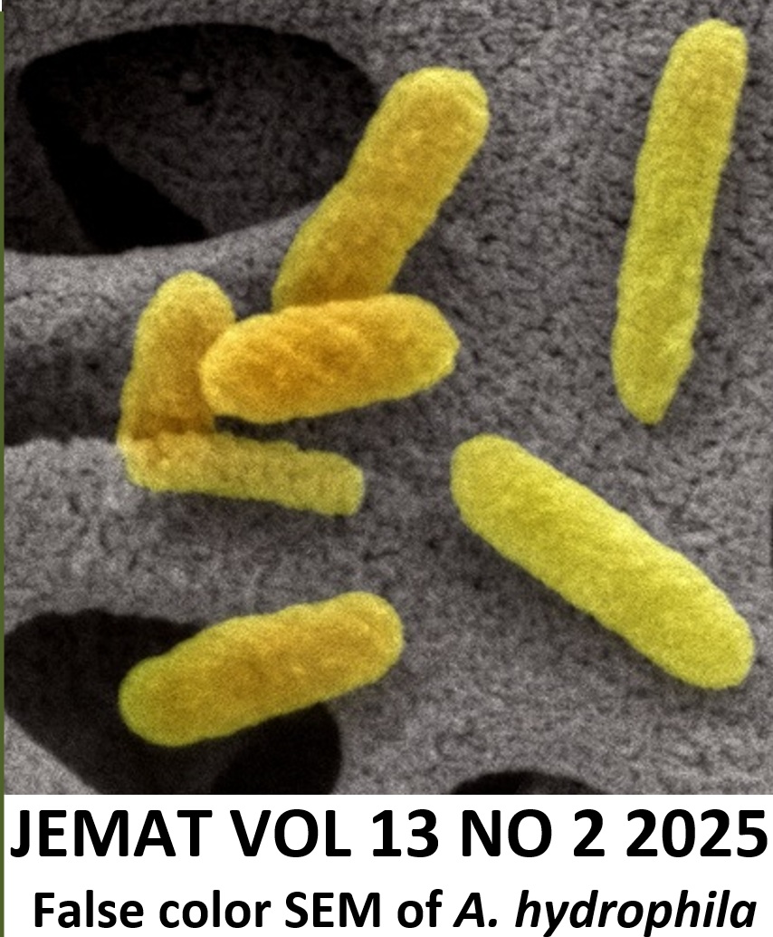 					View Vol. 13 No. 2 (2025)
				